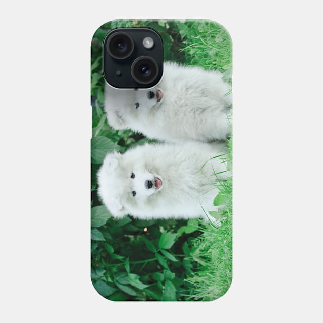 Samoyed puppies portrait Phone Case by PetsArt