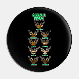 Sleigh Team Pin