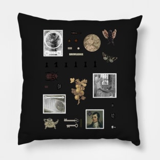 Dark Academia Aesthetic feat. Robert Burns Pillow