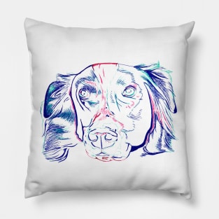 Border Collie Pillow