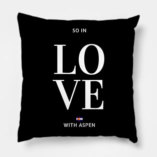 So in love with Aspen Pillow