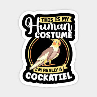 Cockatiel Ornitologist Parrot Bird Magnet