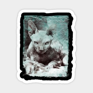 Sphynx cat design Magnet