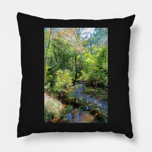 A Walk in the Woods Pillow