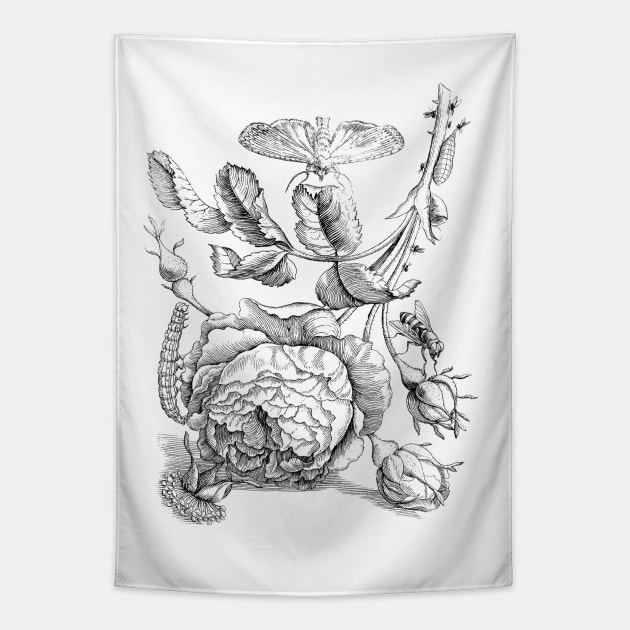 Rose Flowers with Moth Vintage Botanical Illustration Tapestry by Biophilia