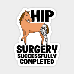 Hip Surgery Successfully Completed Horse Zebra Leg Magnet