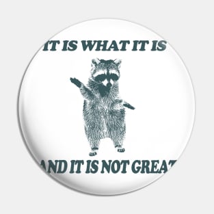 It Is What It Is And It Is Not Great - Vintage Drawing T Shirt, Raccoon Meme T Shirt, Funny Y2K Tee Shirt, Unisex Tee Pin