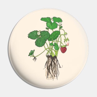 All steps do Strawberry lifecycle Pin