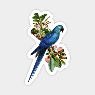 Blue Parrot Magnet