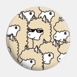 Lots of cute alpacas Pin