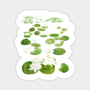 white waterlily pond watercolor Magnet