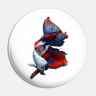 halfmoon betta fish Pin