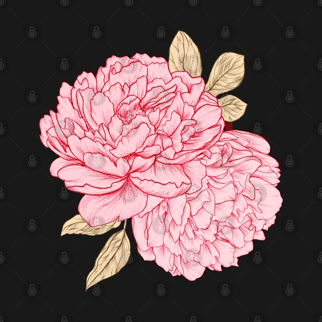 Pink Peonies by LauraOConnor