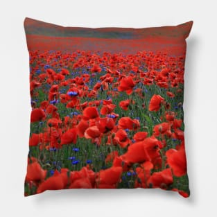 Field of Beautiful Red Poppies Pillow