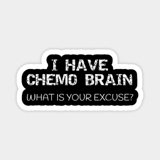 Sucks - I Have Chemo Brain Magnet