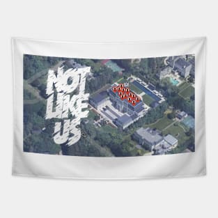 Not like us drakes house Tapestry