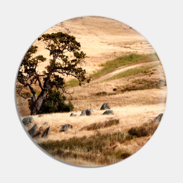 Australian Grassland Landscape Pin by jwwallace