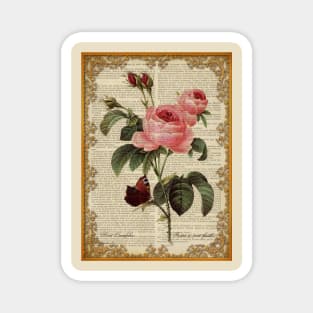 Botanical print, on old book page - Roses Magnet