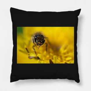 Bee Pillow