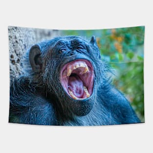 Chimpanzee laugh Tapestry