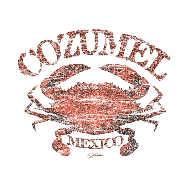 Cozumel, Mexico, Atlantic Blue Crab by jcombs