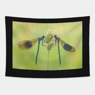 Two Male Banded Demoiselles on a Grass Stalk Tapestry