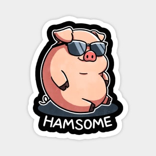 Hamsome Magnet