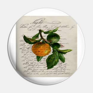 scripts Shabby French botanical print mandarin orange Pin