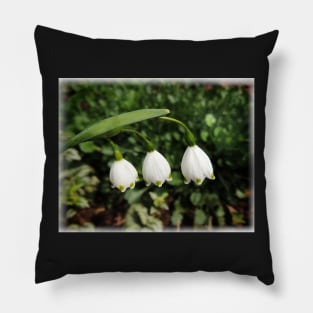 Spring Belles Pillow