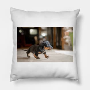 Cute Dachshund Puppy Digital Painting Pillow