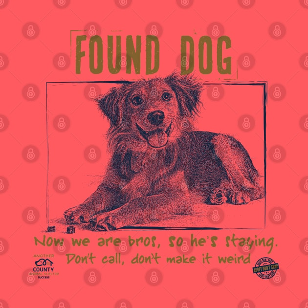 FOUND DOG by spicoli13