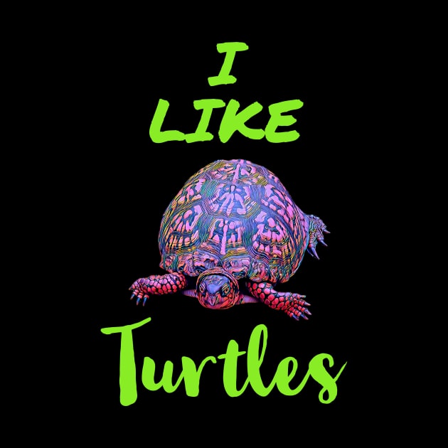 I Like Turtles by KathyG'sArt