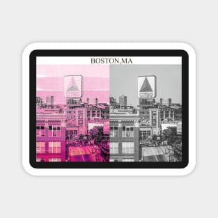 2x Boston Art Magnet