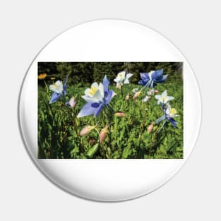 Close Up Of Wildflowers Crested Butte Pin