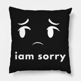 Iam sorry Pillow