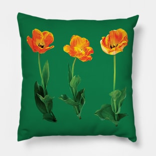 Three Tulips in a Row Pillow