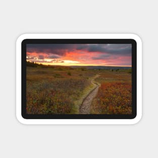 Dolly Sods Twilight Trail Magnet