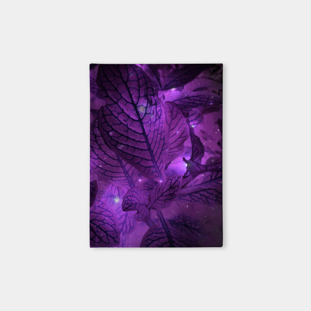 Natura Dreams III
