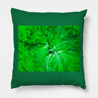 Lettuce green salad leafs arranged in a circle Pillow