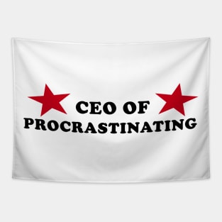 CEO of Procrastinating Tapestry