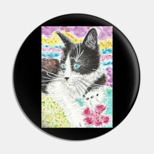 Black and white cat blue eyes Pin