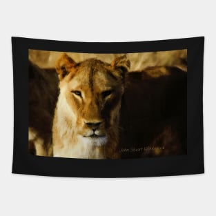 Lioness Tapestry