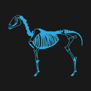 Riding skeleton silhouette horse gift T-Shirt