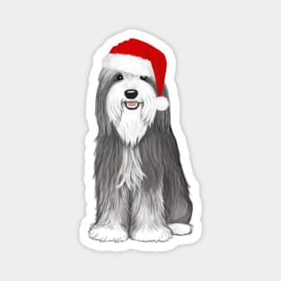 Bearded Collie with Sant Hat Cute Christmas Dog Magnet