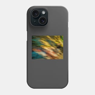 Fast Trains and Slow Walls Phone Case