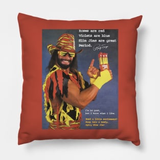 SNAP INTO POETRY Pillow