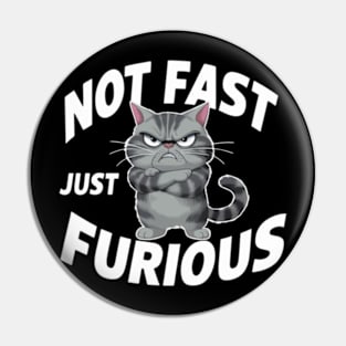 The image features a grumpy-looking cat with the text “NOT FAST JUST FURIOUS” surrounding it (2) Pin