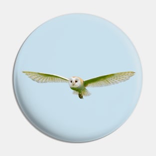 Barn owl Pin