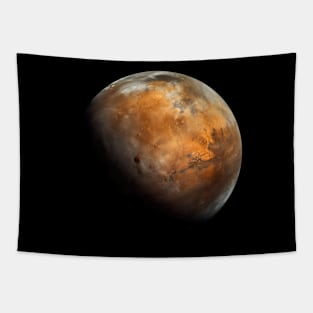 mars 01 Tapestry