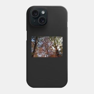 Autumn Leaves III Phone Case